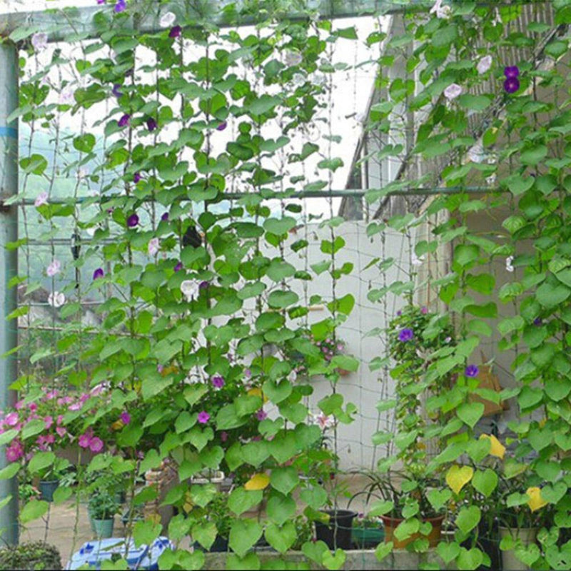 1.8 x 2.7m Nylon Flower Plant Fruit Climbing Frame Garden Fence Net
