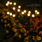 #A 2pcs Solar Led Light No Wires Required Garden Solar Light Yard Decor for Ou