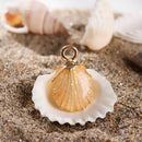 Craft Making Sea Shell Conch Charms Ocean Pendants Handmade Accessories