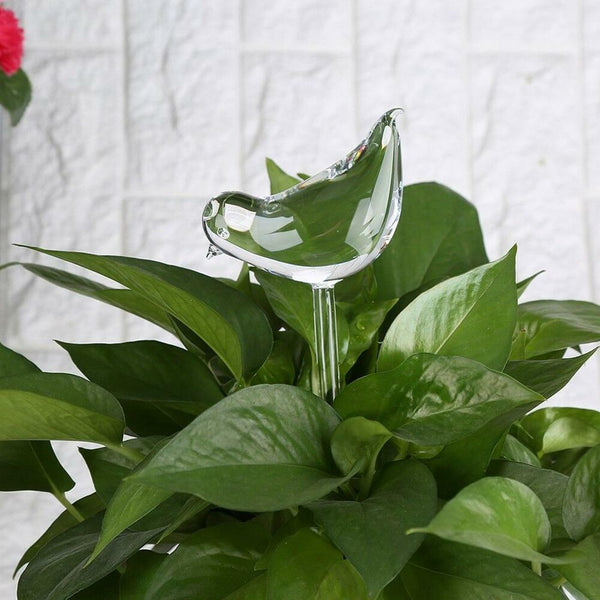 Small Bird Glass Watering Device For Household Balcony S1T5 2021 HOT! W7E4