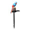 LED Solar Lights Parrot Waterproof Lawn Stakes Lamps Garden Decor (Red)