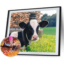 5D DIY Diamond Painting Kits Full Round Drill Cattle Mosaic Picture Wall Deco