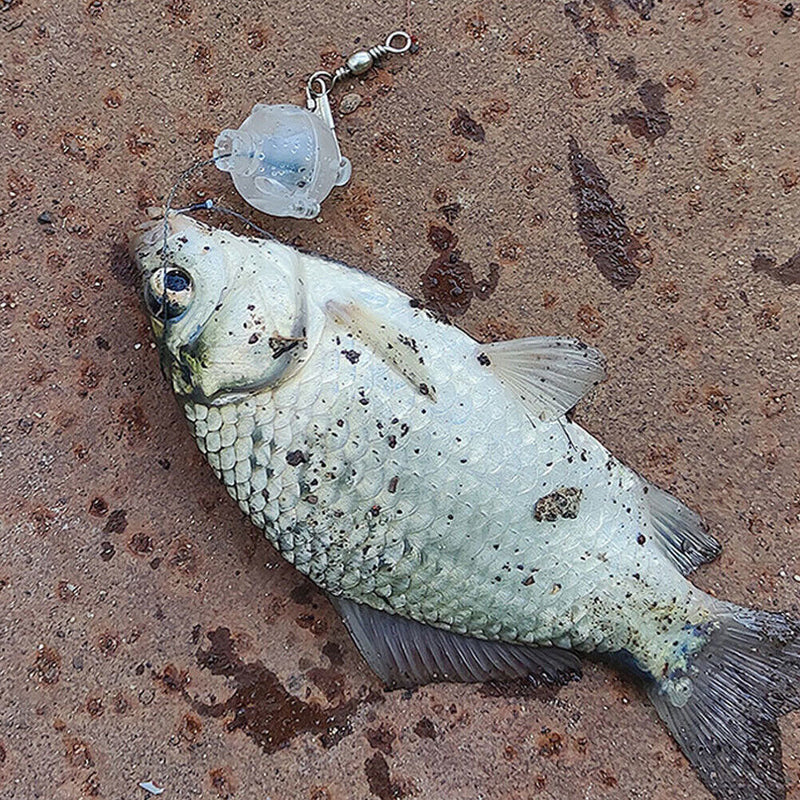 Auto Fishing Hooking PVC Automatic Spring Hook PE Line Quick Fishing Accessories