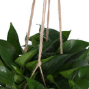 Macrame Plant Hanger Flowerpot Holder Gardenpot Lifting Rope (MS01)