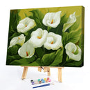 DIY Digital Painting By Numbers Set Flower Wall Art Picture for Home Decor Gift