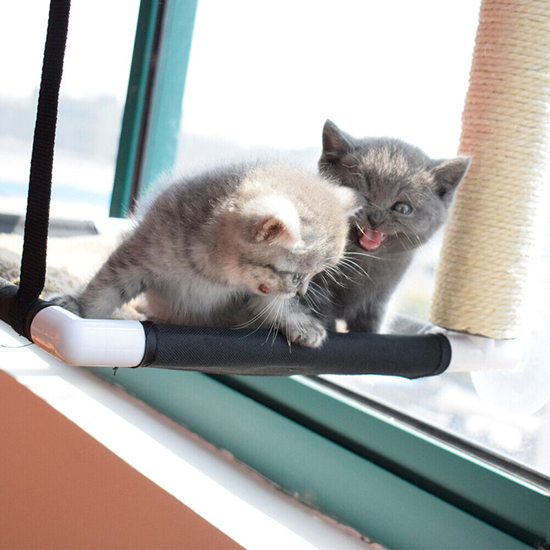 Double Layer Cat Sucker Hammock Sleep Pet Hammock Shelf Seat for Window Supplies