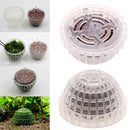 Green Moss Balls Moss Ball Moss Balls Moss Balls Decorative Marimo Moss Ball