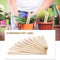 #A 50Pcs Plant Labels - DIY Nursery Garden Markers for Seedling Vegetable Herb