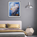 5D DIY Full Round Drill Diamond Painting Owl Pattern for Adults 30x40cm