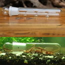 Crystal Glass Aquarium Planarian Worm Aquatic Cleaner Flatworm Pest Catch T