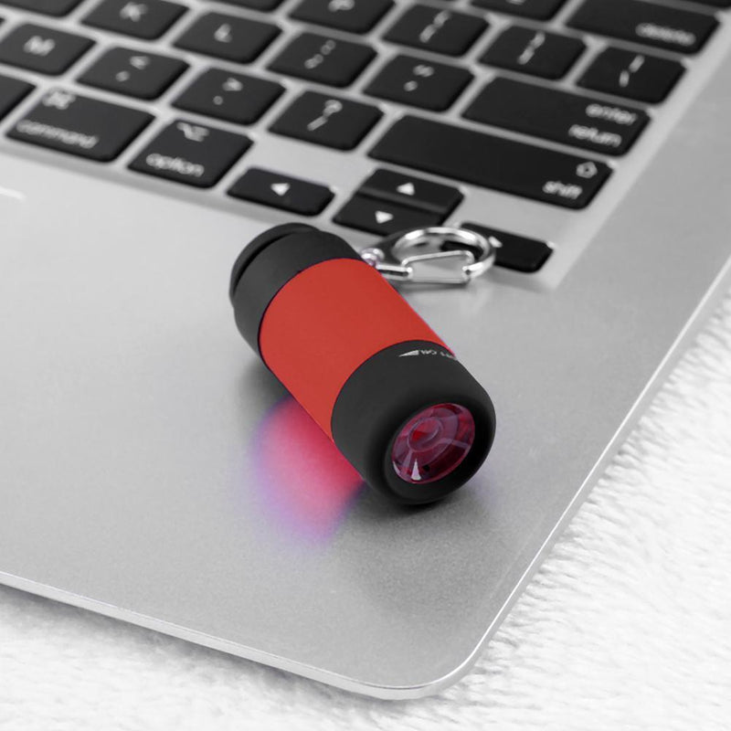 LED Mini Flashlight Portable Key Chain Outdoor Camping Hiking Torch (Red)