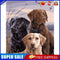 DIY Paint By Number Kit Dog Animal Series No Frame for Home Decoration Art