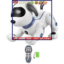 Remote Control Dog Handstand Push-up Smart Dancing RC Stunt Robotic Puppy P