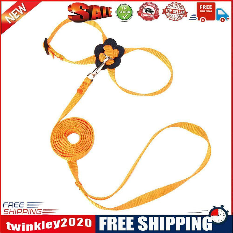 Parrot Leash Adjustable Harness Bird Anti Fly Outdoor Training Rope (Yellow