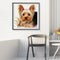 40x40cm Cat Dogs Canvas Painted Oil Paint By Numbers Wall Modern Bedroom Deco