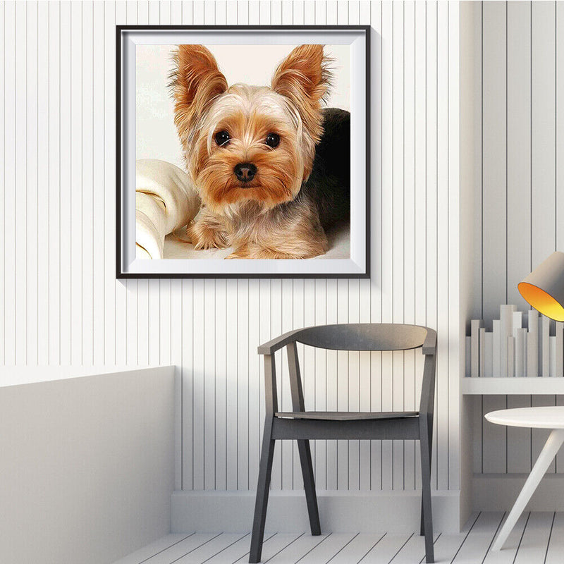 40x40cm Cat Dogs Canvas Painted Oil Paint By Numbers Wall Modern Bedroom Deco