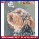 Dog and Butterfly Canvas Oil Painting Kit DIY Hand Painted Drawing By Numbe