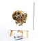DIY Paint By Number Kit Frameless Lovely Owl Animal Handpainted Canvas for Decor