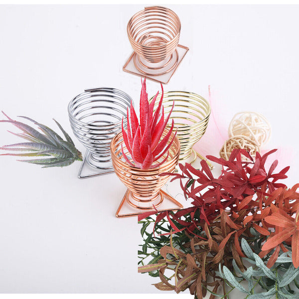 Desktop Container Wall Hanger Air Plants Holders Display Stand Plant Holder