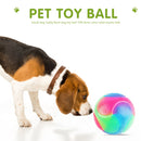 Flashing Elastic Teddy Dog Rubber Ball Pet Color Durable Interact Light up