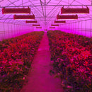 400 LEDs Grow Lights Full Spectrum 400W Indoor Plant Lamp For Plants AU-105