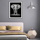 DIY Diamond Painting Kits Elephant Full Square Drill Wall Decoration Crafts