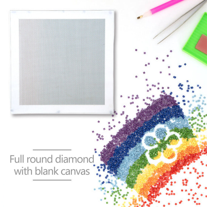 Blank Embroidery Full Round Drill Canvas DIY Diamond Painting (30x30cm) Newly