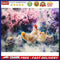 Paint by Number Kit Canvas Oil Drawing Chicken Bushes for Handicraft Enthus
