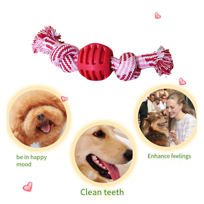 Dog Double Knot Ball Cotton Rope Chews Tooth Cleaning Interactive Training Ba