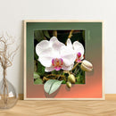 Diamond Painting 5D DIY flower Round Drill Rhinestone Picture(B3320) Newly