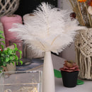 10pcs Fluffy Ostrich Feather Wedding Party Plumes Feather 30-35cm (White)