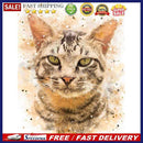 Cat Oil Paint By Numbers DIY Handpainted on Canvas Wall Art Picture Craft Home