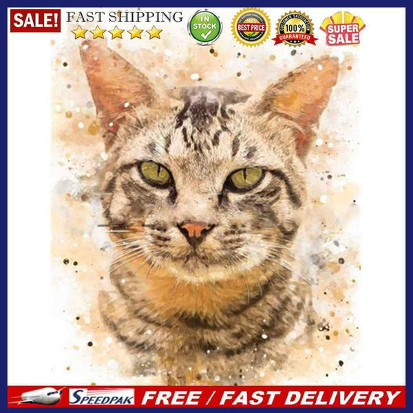 Cat Oil Paint By Numbers DIY Handpainted on Canvas Wall Art Picture Craft Home