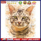 Cat Oil Paint By Numbers DIY Handpainted on Canvas Wall Art Picture Craft Home