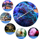 Curved Reef Aquarium Tweezers Feeding Tool Long Tube Acrylic Coral Spot Feeder