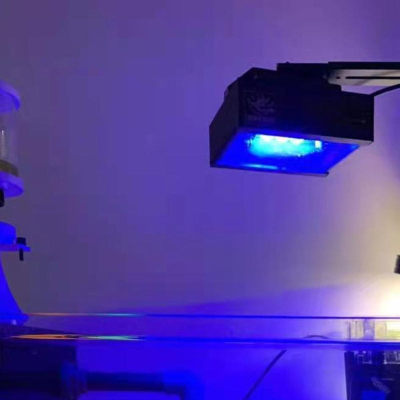 Fish Tank Coral Frag Rack Aquarium Reef with Plugs Suction Holder (Green)