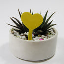 Fleshy Label Flower Gardening Plug Board Succulent Plant Waterproof Name Tags