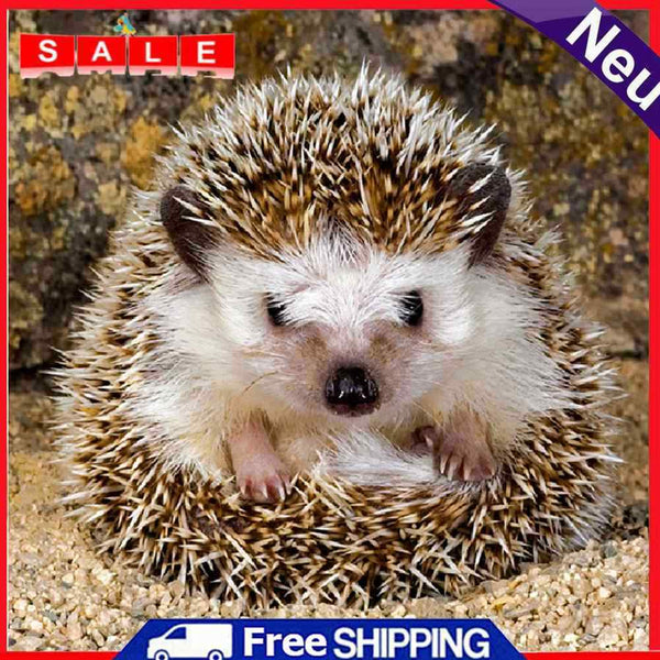 5D DIY Full Round Drill Diamond Painting Hedgehog Color Handmade Needlework Sets