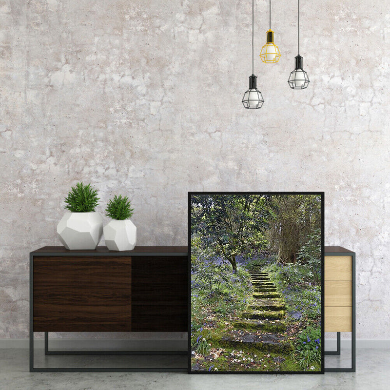 Forest Path Drawing Frameless DIY Oil Paint by Numbers Canvas Home Decor Newly