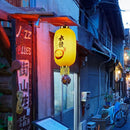 Japanese Lantern with Tassel Waterproof Festival Hanging Light Decor (D) Newly