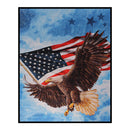 Full Cross Stitch American Flag Eagle Counted DIY Embroidery (SZX806-2)