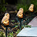 5pcs Solar Power LED Waterproof Garden Landscape Owl Lawn Light (White)