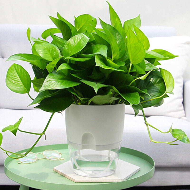 2 Layer ABS Flowerpot Self Watering Plant Container w/Water Tank (15.3cm) Newly