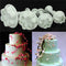 4 pcs*Plum Flower Icing Fondant Cake Sugarcraft Decorating Plunger J5P0 J0H2