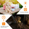 Firework Starburst Lights Solar LED Fairy Lamp for Outdoor (Warm White)