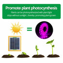 #A Solar LED Plant Grow Light Strip Full Spectrum Phytolamp for Flower Growing