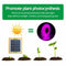 #A Solar LED Plant Grow Light Strip Full Spectrum Phytolamp for Flower Growing