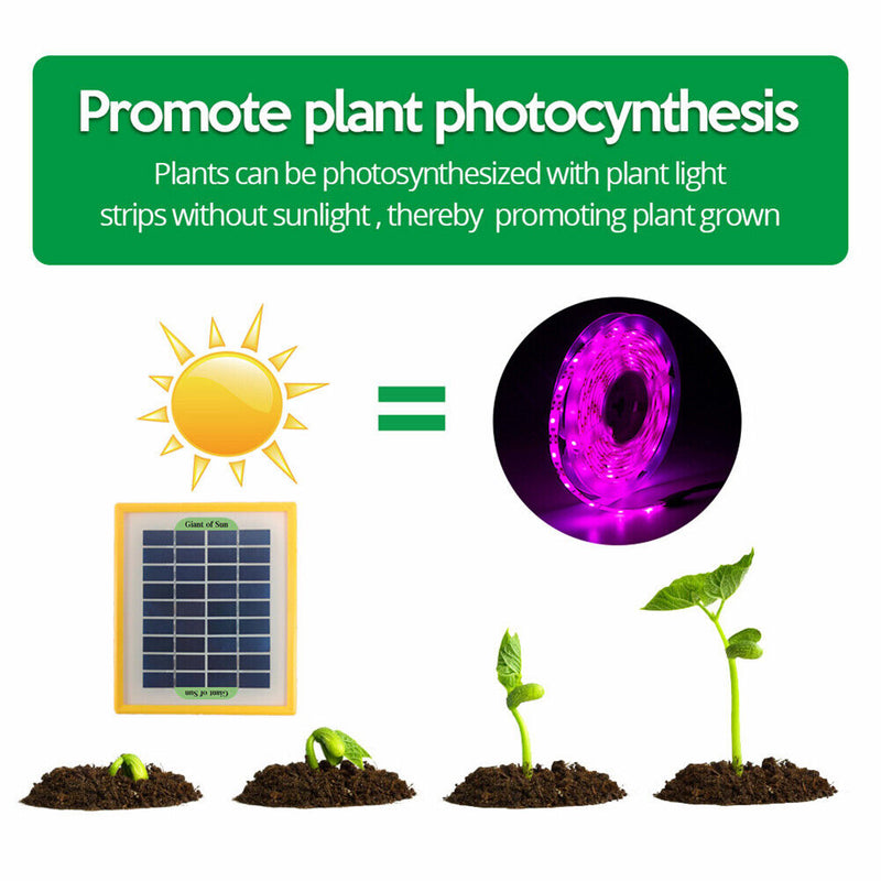 #A Solar LED Plant Grow Light Strip Full Spectrum Phytolamp for Flower Growing