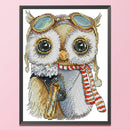 Partial Cross Stitch Cotton Thread 14CT 2 Strand Printed Owl Needlework Kit