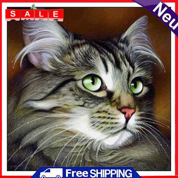 40x40cm Cat Dogs Canvas Painted Oil Paint By Numbers Wall Modern Bedroom Decor